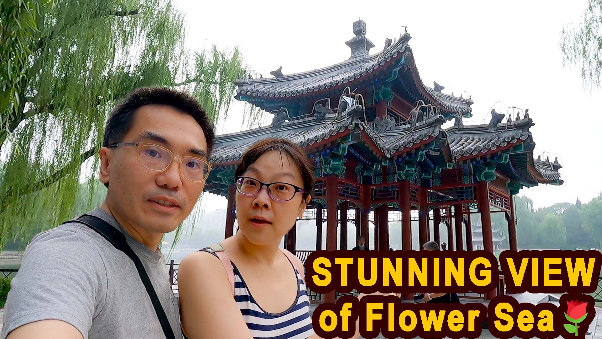Flower Sea - The STUNNING view in Taoranting Park in Beijing Part 1