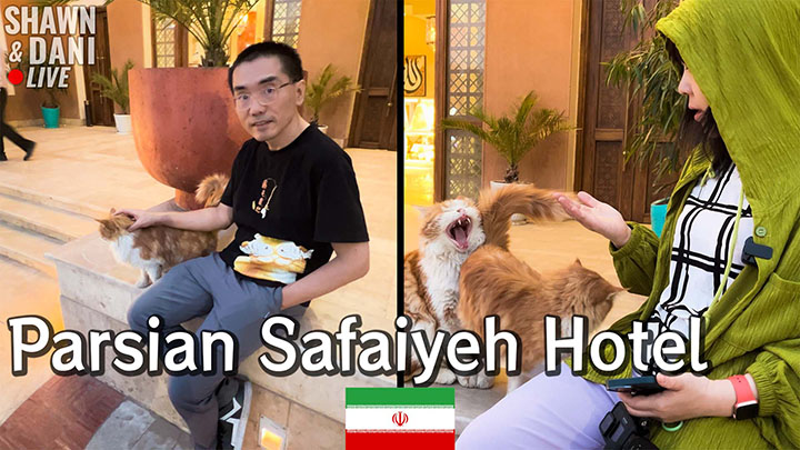 Parsian Safaiyeh Hotel - In the Persian-style Desert Oasis Hotel we could Pet Cats for Free🇮🇷Yazd, Iran 2023EP20